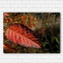 Load image into Gallery viewer, Fall Leaf Closeup