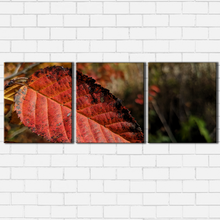 Load image into Gallery viewer, Fall Leaf Closeup