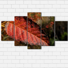 Load image into Gallery viewer, Fall Leaf Closeup