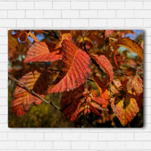 Load image into Gallery viewer, Fall Leaves