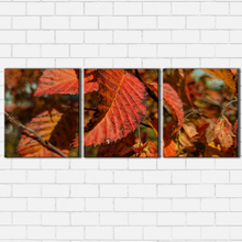 Load image into Gallery viewer, Fall Leaves