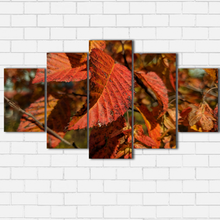 Load image into Gallery viewer, Fall Leaves