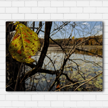 Load image into Gallery viewer, Forest Leaf