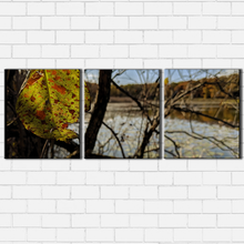 Load image into Gallery viewer, Forest Leaf