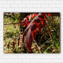 Load image into Gallery viewer, Grass Leaf