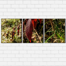 Load image into Gallery viewer, Grass Leaf