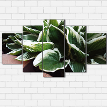 Load image into Gallery viewer, Hostess Closeup