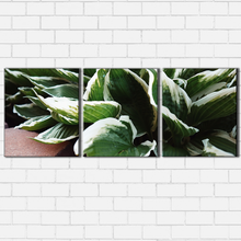 Load image into Gallery viewer, Hostess Closeup