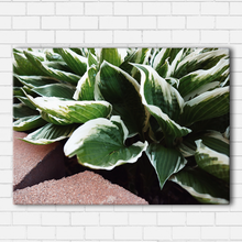 Load image into Gallery viewer, Hostess Closeup