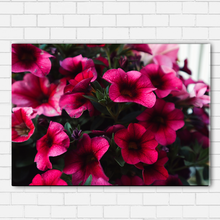 Load image into Gallery viewer, Pink Petals