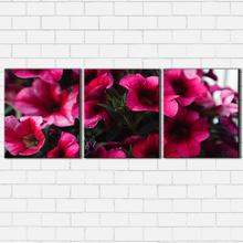 Load image into Gallery viewer, Pink Petals