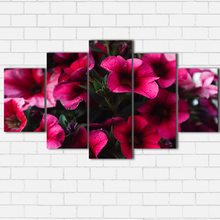 Load image into Gallery viewer, Pink Petals