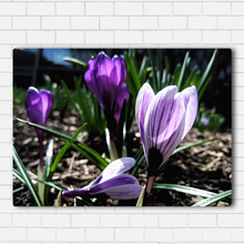 Load image into Gallery viewer, Purple Flowers