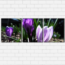 Load image into Gallery viewer, Purple Flowers