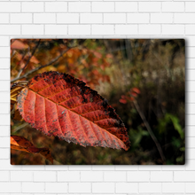 Load image into Gallery viewer, Fall Leaf Closeup
