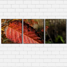 Load image into Gallery viewer, Fall Leaf Closeup
