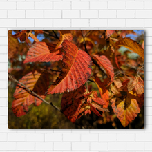 Load image into Gallery viewer, Fall Leaves
