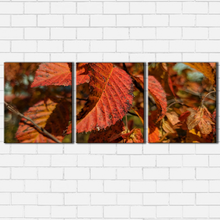 Load image into Gallery viewer, Fall Leaves
