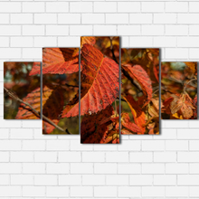 Load image into Gallery viewer, Fall Leaves
