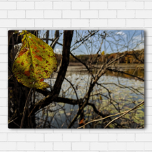 Load image into Gallery viewer, Forest Leaf
