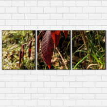 Load image into Gallery viewer, Grass Leaf
