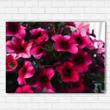 Load image into Gallery viewer, Pink Petals
