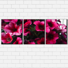 Load image into Gallery viewer, Pink Petals
